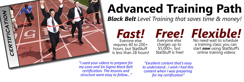Lean Six Sigma Advanced Training Path