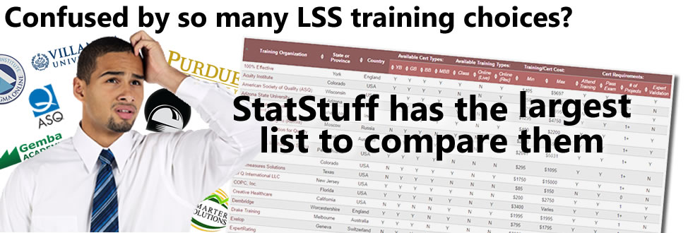 Lean Six Sigma Compare Training Organizations